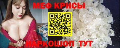 стаф Камышлов