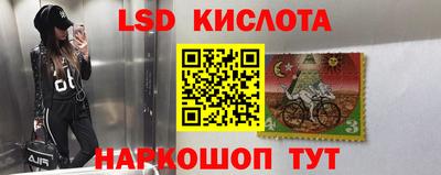 Альфа ПВП Канаш