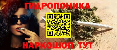 стаф Камышлов