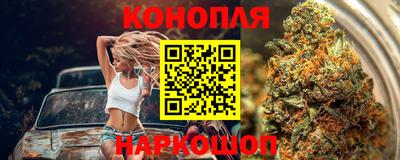 стаф Камышлов