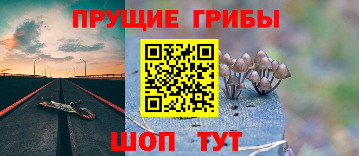 Черногорск  Галлюциногенные грибы мухоморы  Вход с VPN  Галлюциногенные грибы Psilocybe 