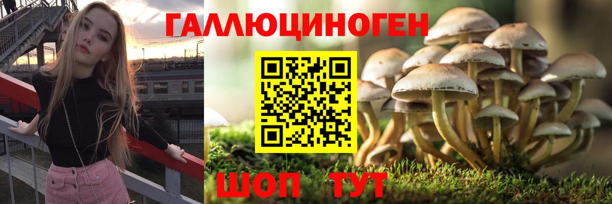 Галлюциногенные грибы мухоморы Черногорск